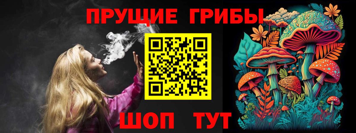 сколько стоит  Галлюциногенные грибы Psilocybe  Вход с VPN  Кинешма 